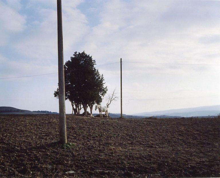 Carlo Vigni. Paesaggi privati 1996-2012 | Immagine Gallery 5