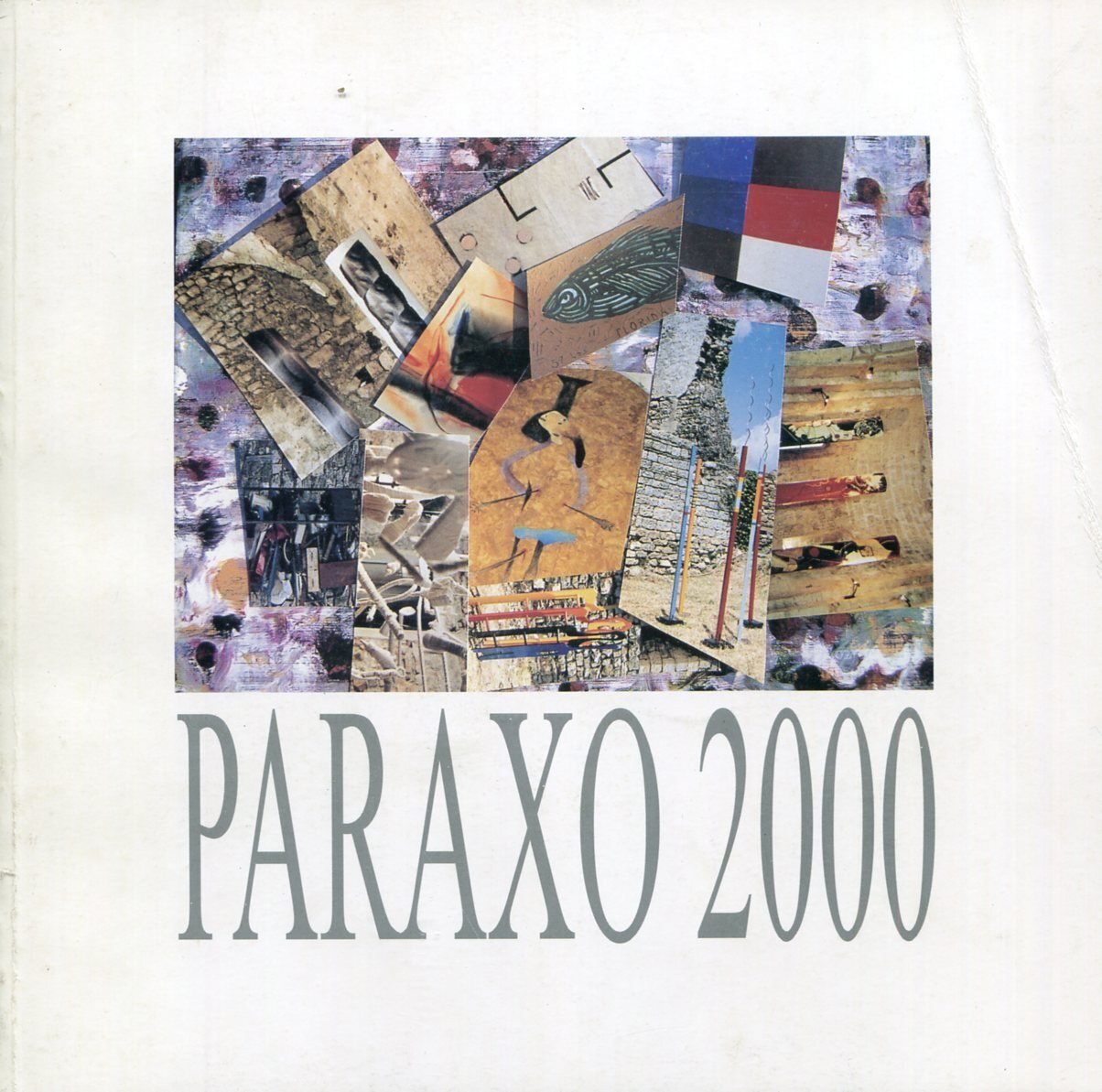 Paraxo 2000. VIII Rassegna Biennale d'Arte Contemporanea | Immagine principale