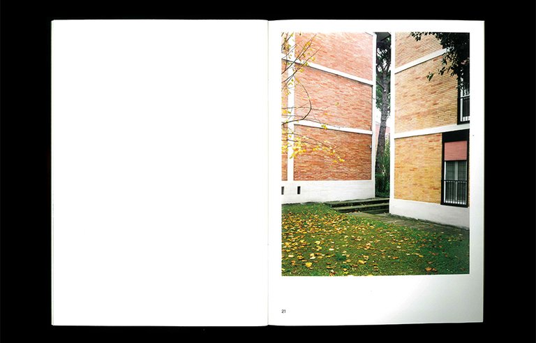 Parendo alla mente di chi ode vedere in un vocabulo … | Immagine Gallery 2