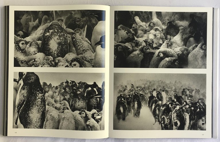 Photography as a New Kind of Love Poem | Immagine Gallery 6