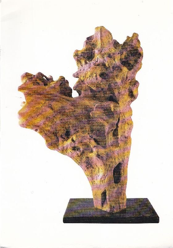 Piero Bruscoli. Dalla natura all&amp;#39;arte, dall&amp;#39;arte alla natura | Immagine principale