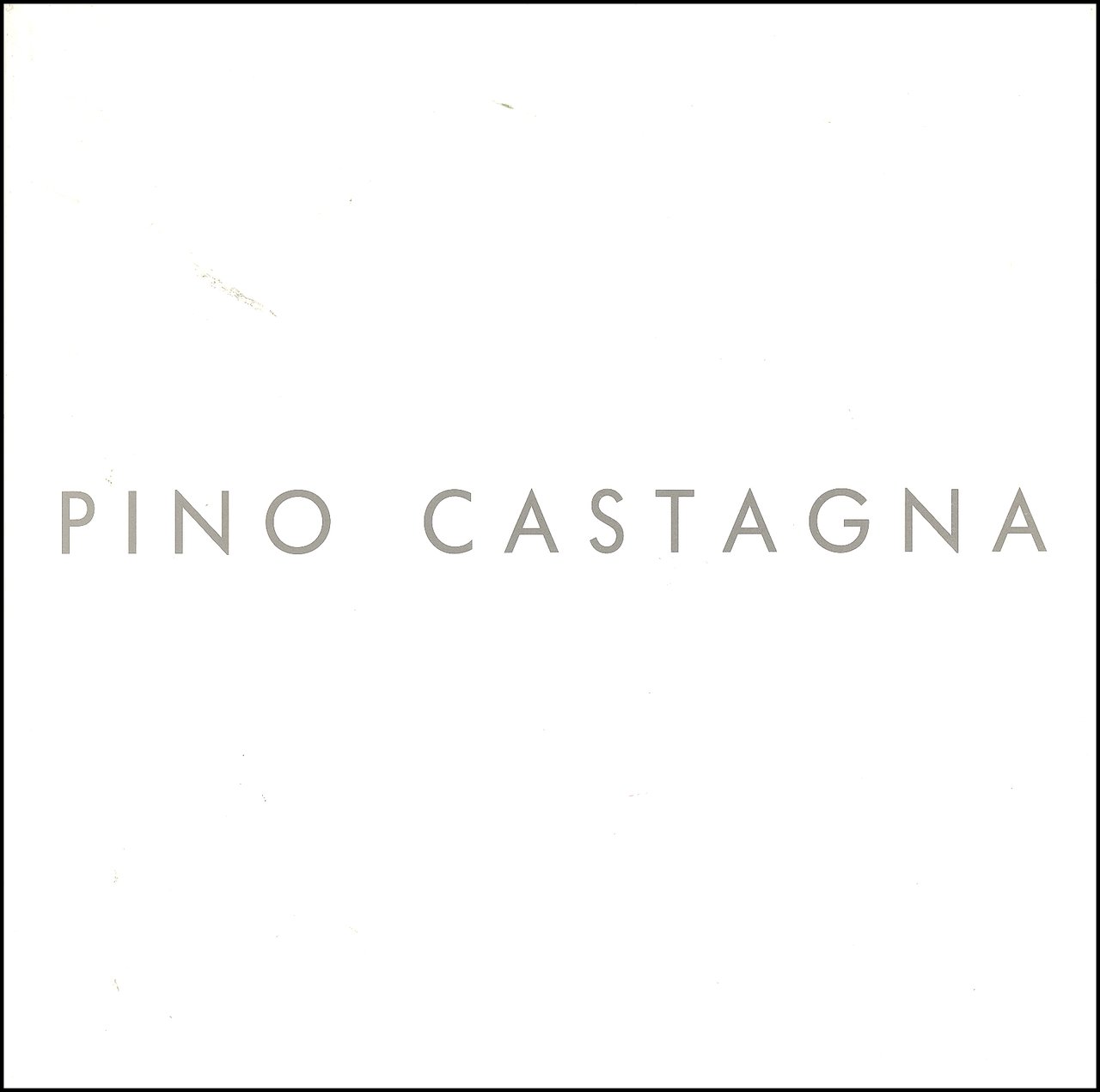 Pino Castagna. Interkolumnie | Immagine principale