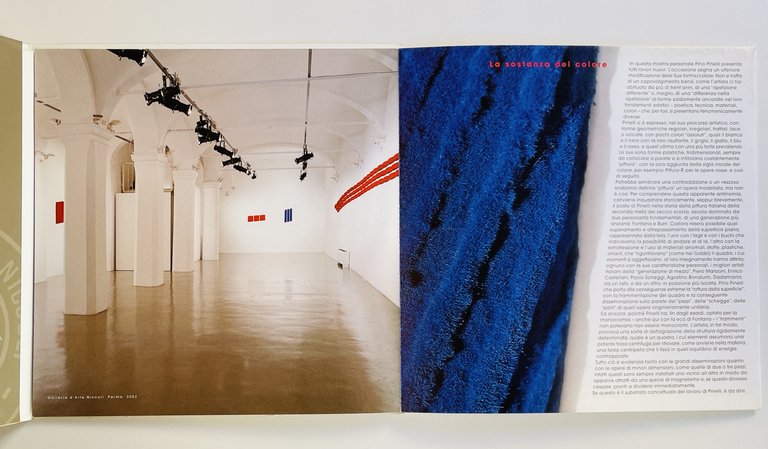 Pino Pinelli | Immagine Gallery 2