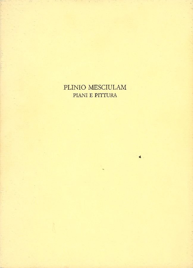 Plinio Mesciulam. Piani e pittura | Immagine principale