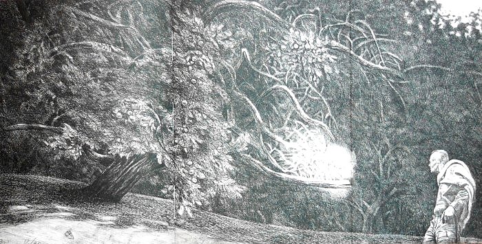 Poco prima del temporale | Immagine Gallery 3