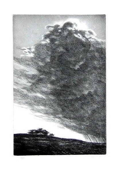 Poco prima del temporale | Immagine Gallery 4