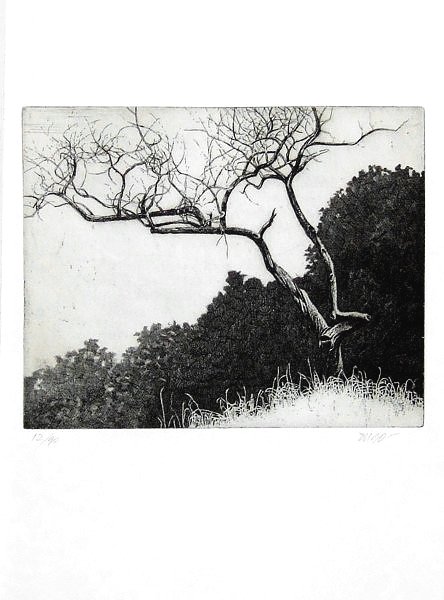 Poco prima del temporale | Immagine Gallery 5