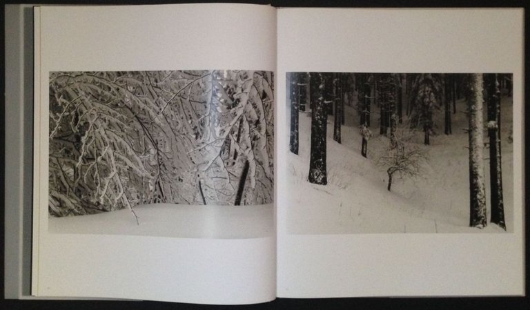 Presenze Presences. Paesaggi italiani. Italian landscapes | Immagine Gallery 2