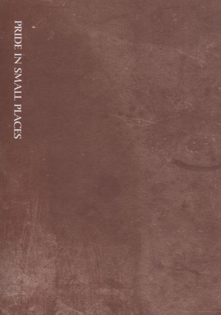 Pride in Small Places. A Photographic remembrance of Rural Prince … | Immagine principale