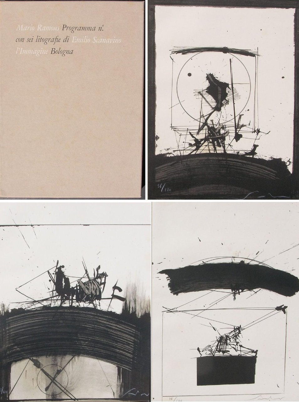 Programma n^ | Immagine principale