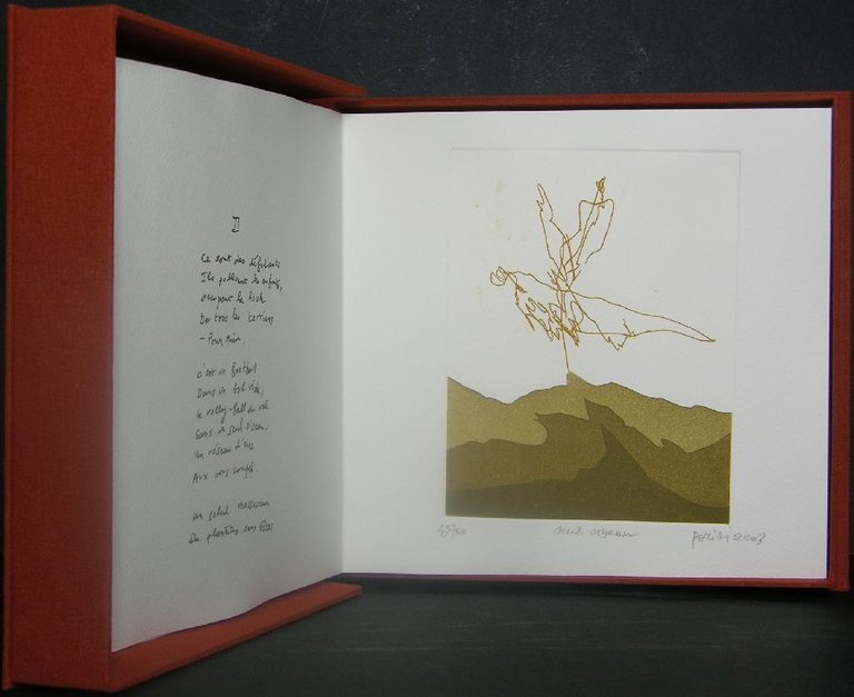 PTYX | Immagine Gallery 4