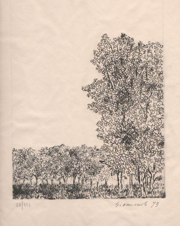 Quindici poesie | Immagine Gallery 2