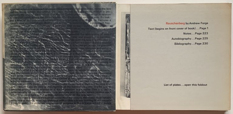 Rauschenberg | Immagine Gallery 2