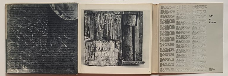 Rauschenberg | Immagine Gallery 3