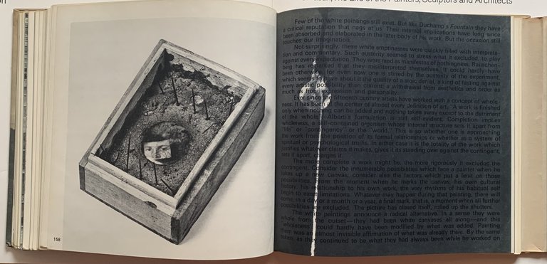 Rauschenberg | Immagine Gallery 8