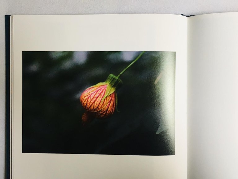 Raw Soul | Immagine Gallery 3