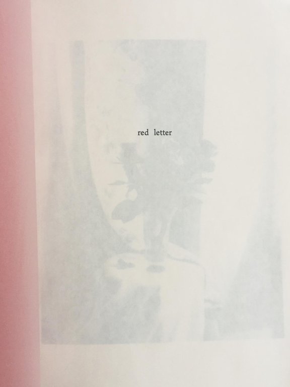 Red Letter | Immagine Gallery 2