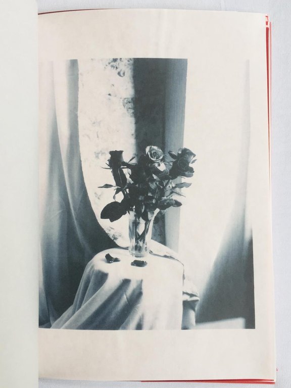 Red Letter | Immagine Gallery 3