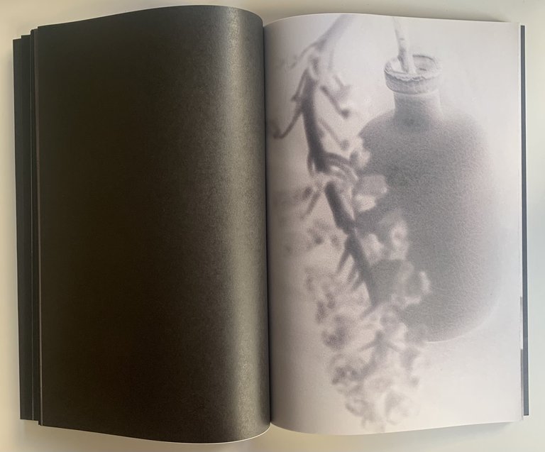 Remember who you once were | Immagine Gallery 3