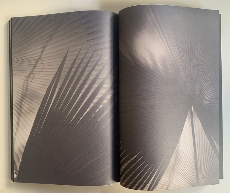 Remember who you once were | Immagine Gallery 6