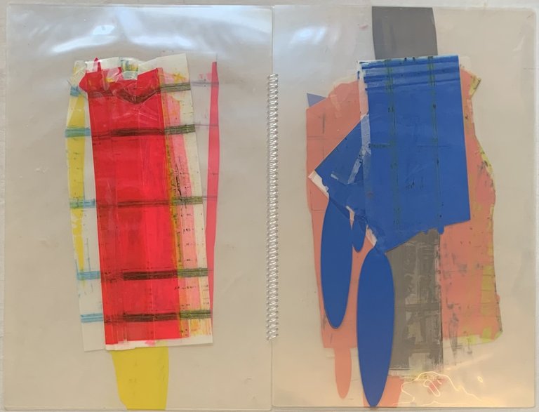 Riso Color | Immagine Gallery 2