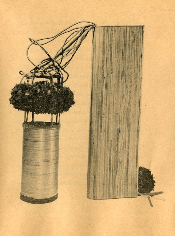 Ritzi et Peter Jacobi | Immagine Gallery 2