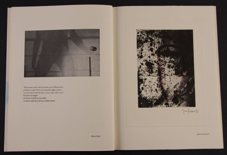 Rivista d&amp;#39;Artista n.8. Assedio del visibile. Forza dell&amp;#39;invisibile | Immagine Gallery 5