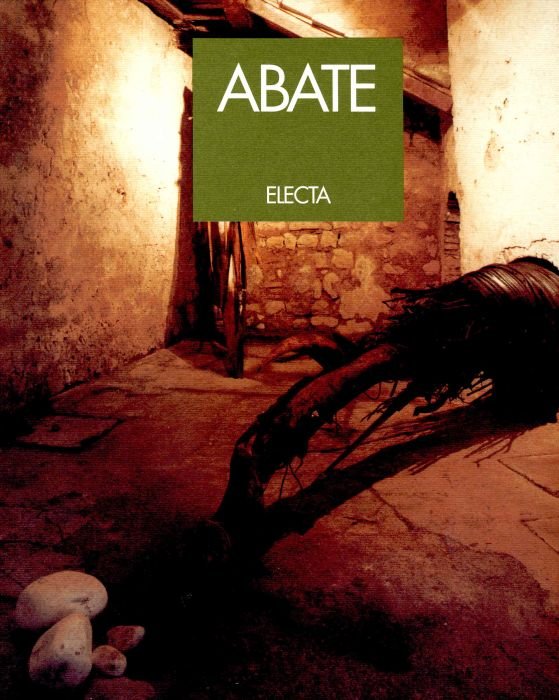 Romano Abate. Sculture 1963-1994 | Immagine principale