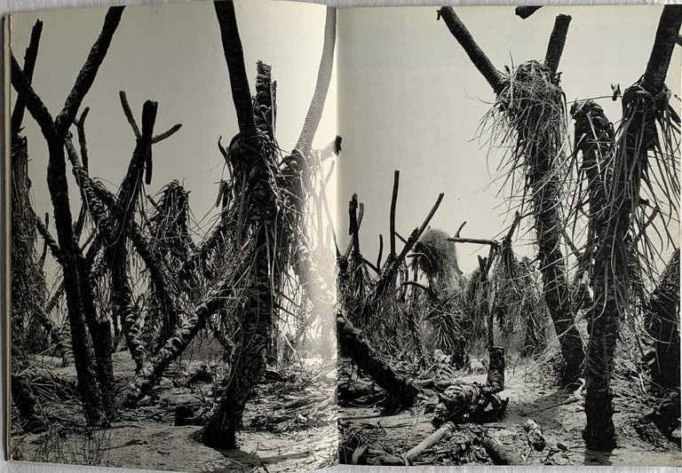 Sahel. L'Homme en Detresse | Immagine Gallery 4