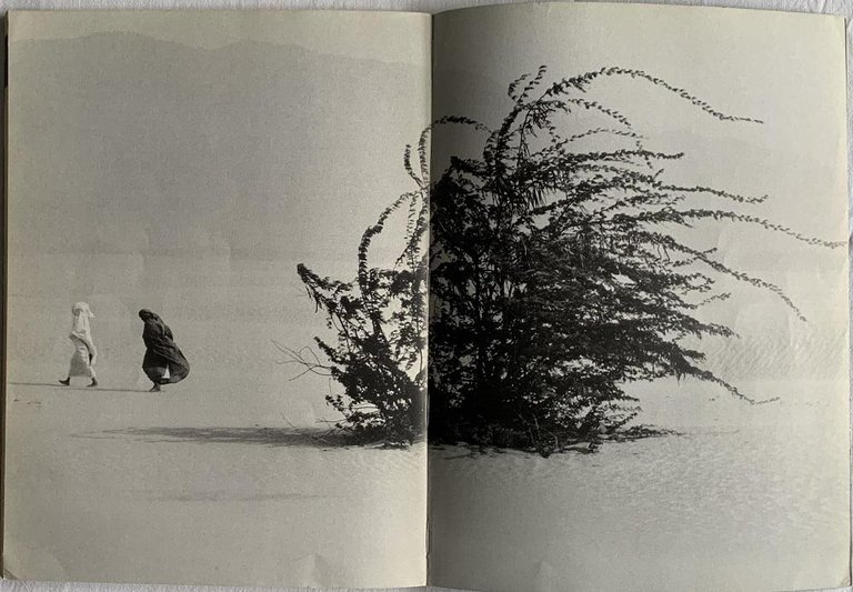 Sahel. L'Homme en Detresse | Immagine Gallery 8