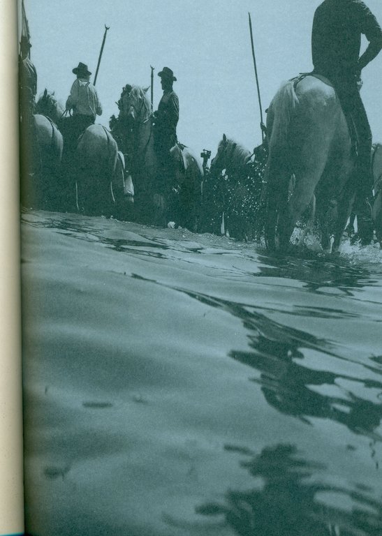 Sainte Sara et Saintes Maries | Immagine Gallery 2