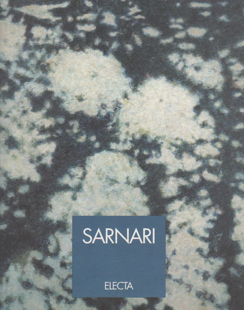 Sarnari. Opere 1957-1994 | Immagine principale