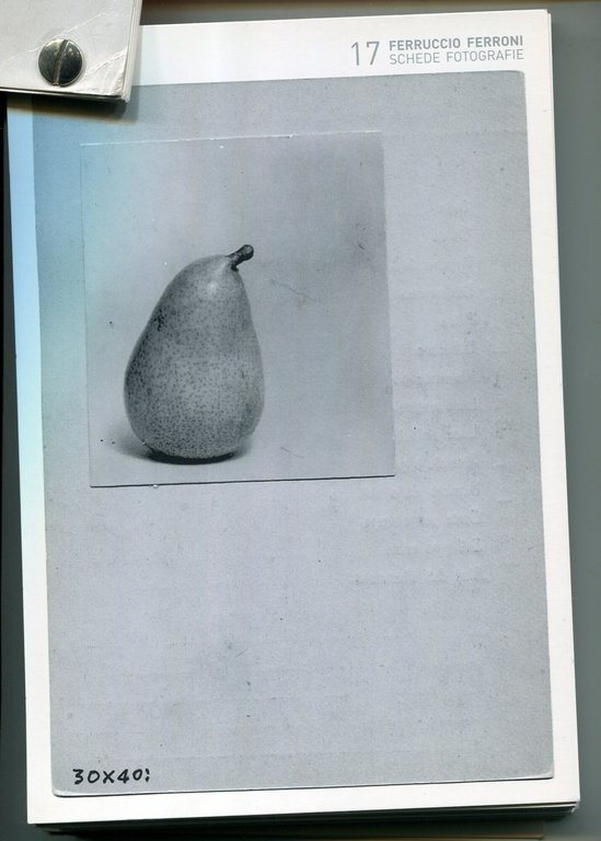 Schede fotografiche dal 1949 al 1957 / dal 1984 ad … | Immagine Gallery 2