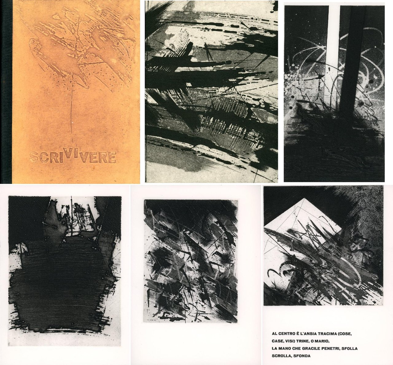 Scri vi vere. Poesie | Immagine principale