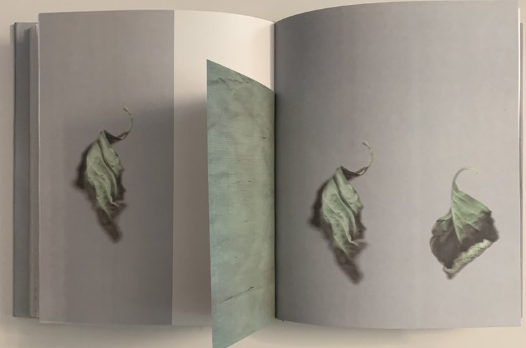 Sense | Immagine Gallery 2