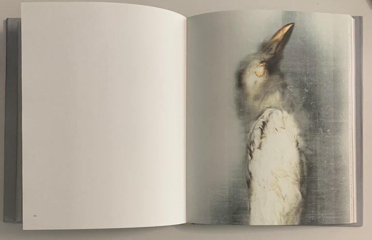 Sense | Immagine Gallery 3