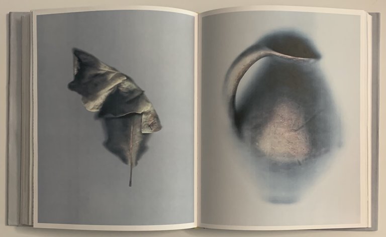 Sense | Immagine Gallery 4