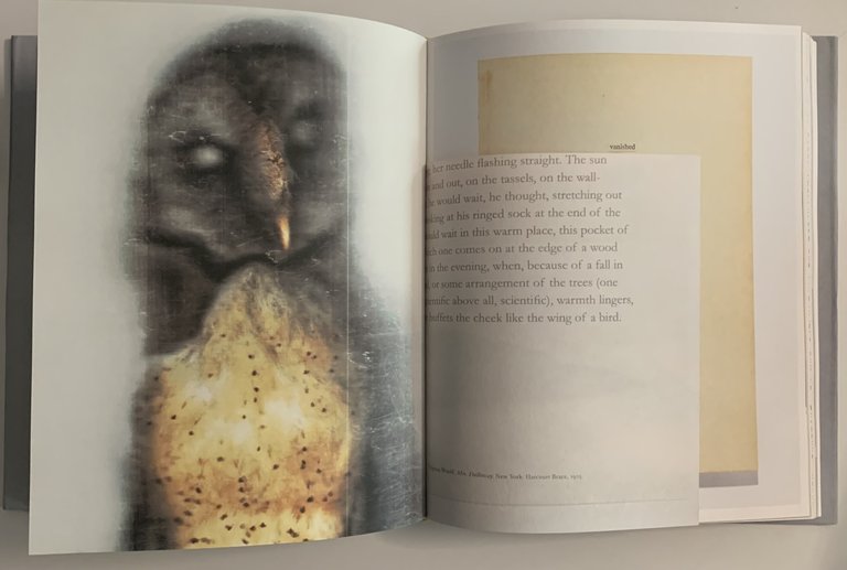 Sense | Immagine Gallery 6