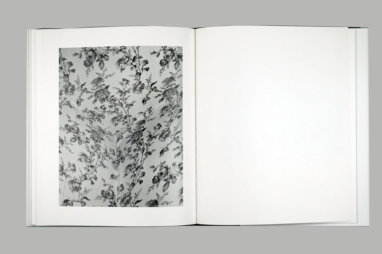 Soil | Immagine Gallery 6