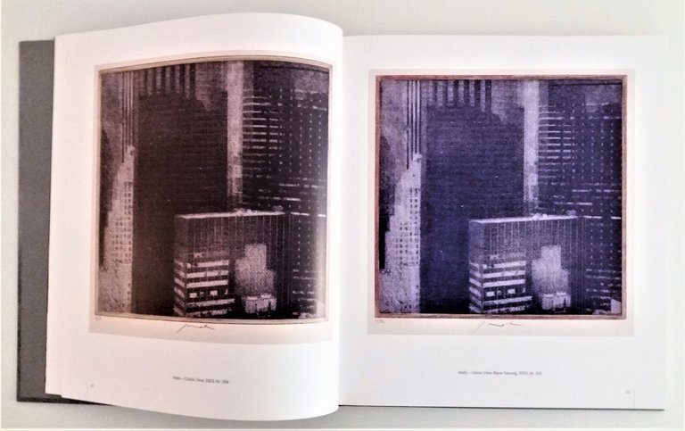 Sovak. Clear Vision[s]. Catalogue Raisonné 1995-2016 | Immagine Gallery 2