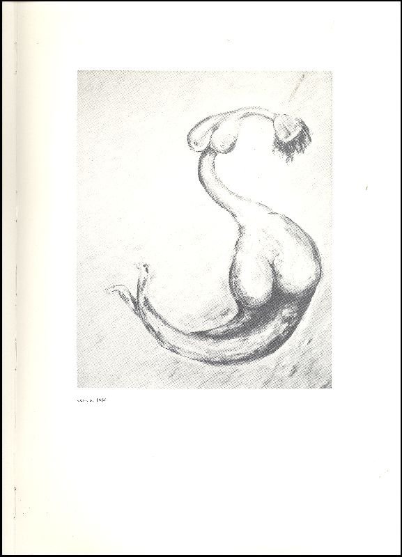 Stefano Donati. Roma 1980-1981 | Immagine principale