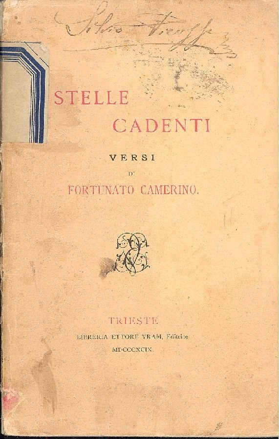 Stelle cadenti | Immagine principale