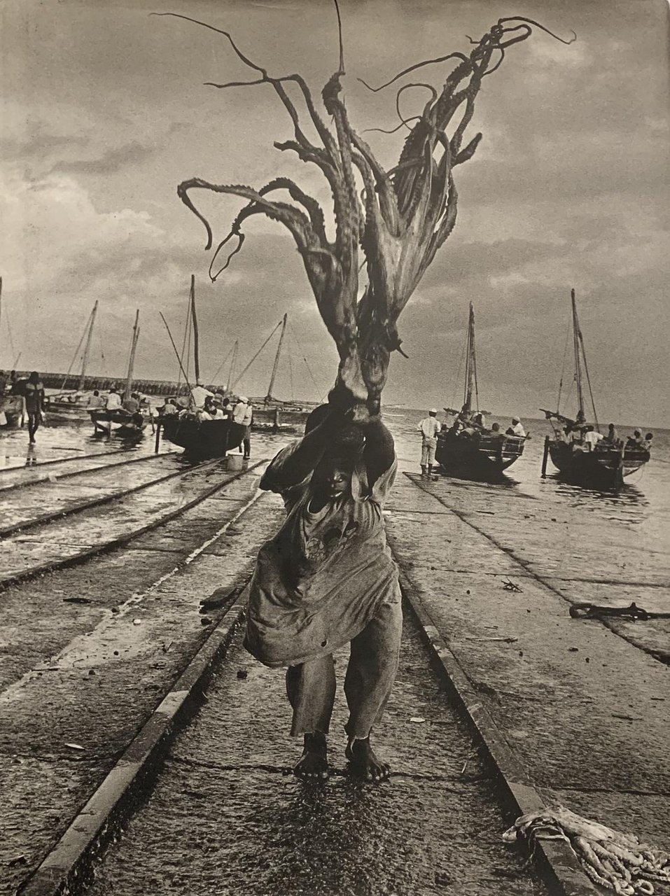 Stolen Childhood | Immagine principale