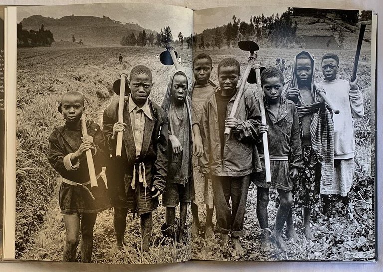 Stolen Childhood | Immagine Gallery 4