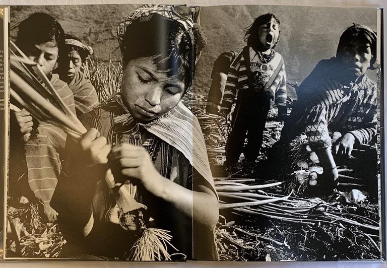 Stolen Childhood | Immagine Gallery 5