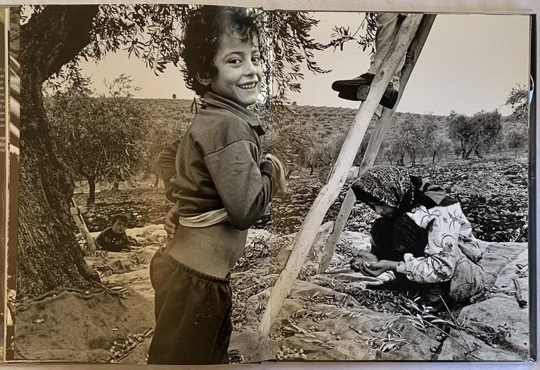 Stolen Childhood | Immagine Gallery 6