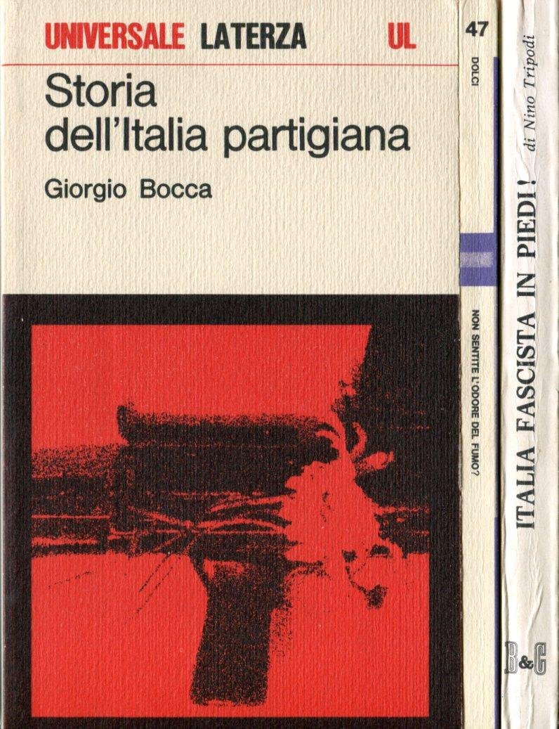 Storia dell'Italia partigiana. Settembre 1943 - maggio 1945 | Immagine principale