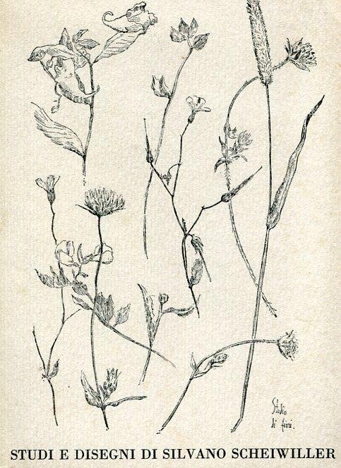 Studi e disegni | Immagine principale