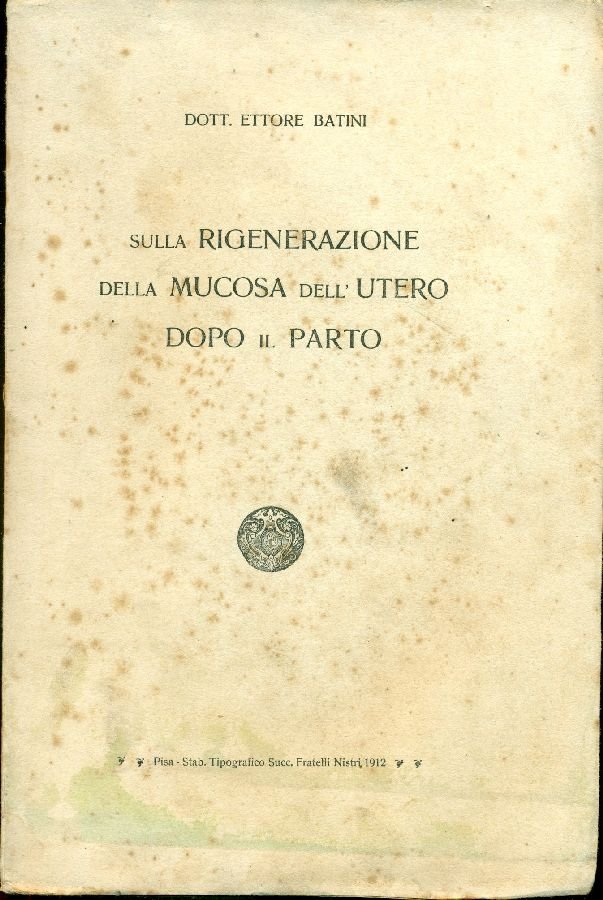 Sulla rigenerazione della mucosa dell&amp;#39;utero dopo il parto | Immagine principale