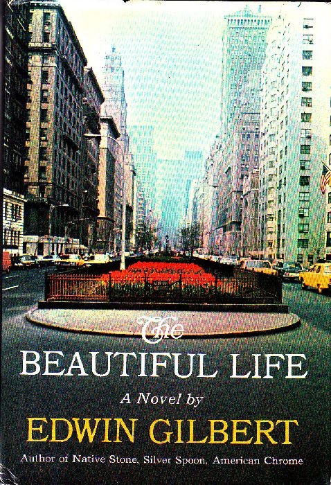 The beautiful life | Immagine principale
